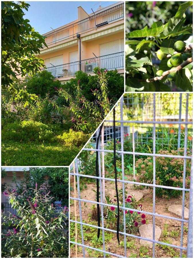 Amigo Comfort Apartments สปลิท ภายนอก รูปภาพ